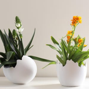 May include: Two white ceramic egg-shaped planters with green plants. One planter has a white flower and the other has yellow flowers.