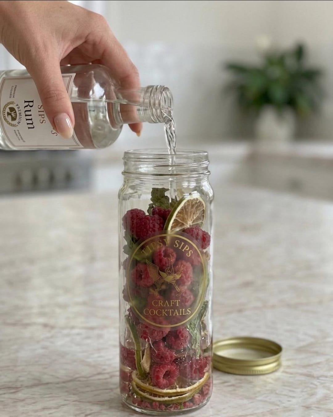 Cocktail Infusion Kit: Cocktail in a Jar, Alcohol Infuser, - Etsy