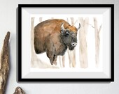 Bison art print, art print Bison in the woods, Bison watercolor print, animal art, wild life art, southwest, woodland print, animal art