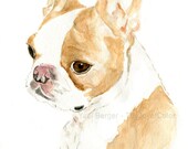 Custom dog portrait/ pet portrait/ custom pet portrait/ custom pet art/ dog portrait/ cat portrait/ watercolor pet portrait/ thejoyofcolor