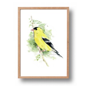 State Birds and Flowers Miniature Mini Plate NEW JERSEY Goldfinch Violet State Birds and Flowers Miniature Mini Plate NEW JERSEY Goldfinch Violet