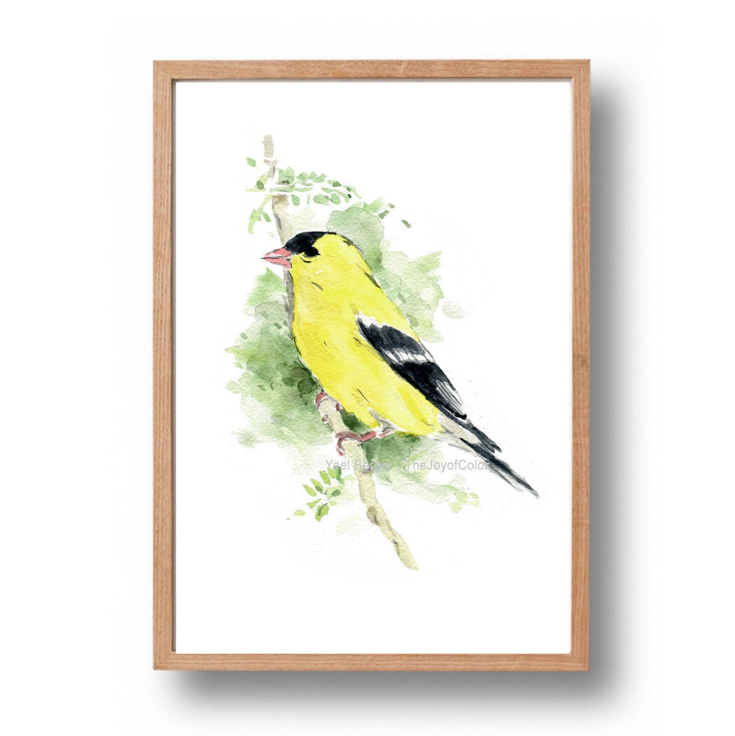 Yellow goldfinch watercolor print Eastern goldfinch print | Etsy
