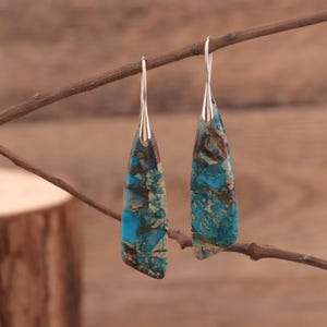 Op de afbeelding: Een paar oorhangers met langwerpige, druppelvormige stenen in blauw, bruin en crème. De oorbellen hebben zilverkleurige haken en worden gepresenteerd op een bruine tak tegen een vage achtergrond.
