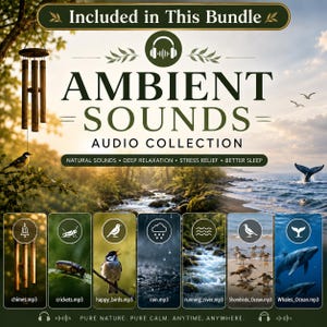 Ambient Sounds Audio Collection audiobook included in a 50+ Meditation & Relaxation Audiobooks MP3 Bundle. Nature sounds for meditation, deep relaxation, stress relief, mindfulness, sleep improvement.
Mockup of a featured audiobook included in a 50+ Meditation & Relaxation Audiobooks MP3 Bundle. The image showcases the "Ambient Sounds Audio Collection" audiobook cover displayed in a 3D product box, featuring nature sound such as wind chimes, crickets, birds, rain, rivers, shorebirds, and whales