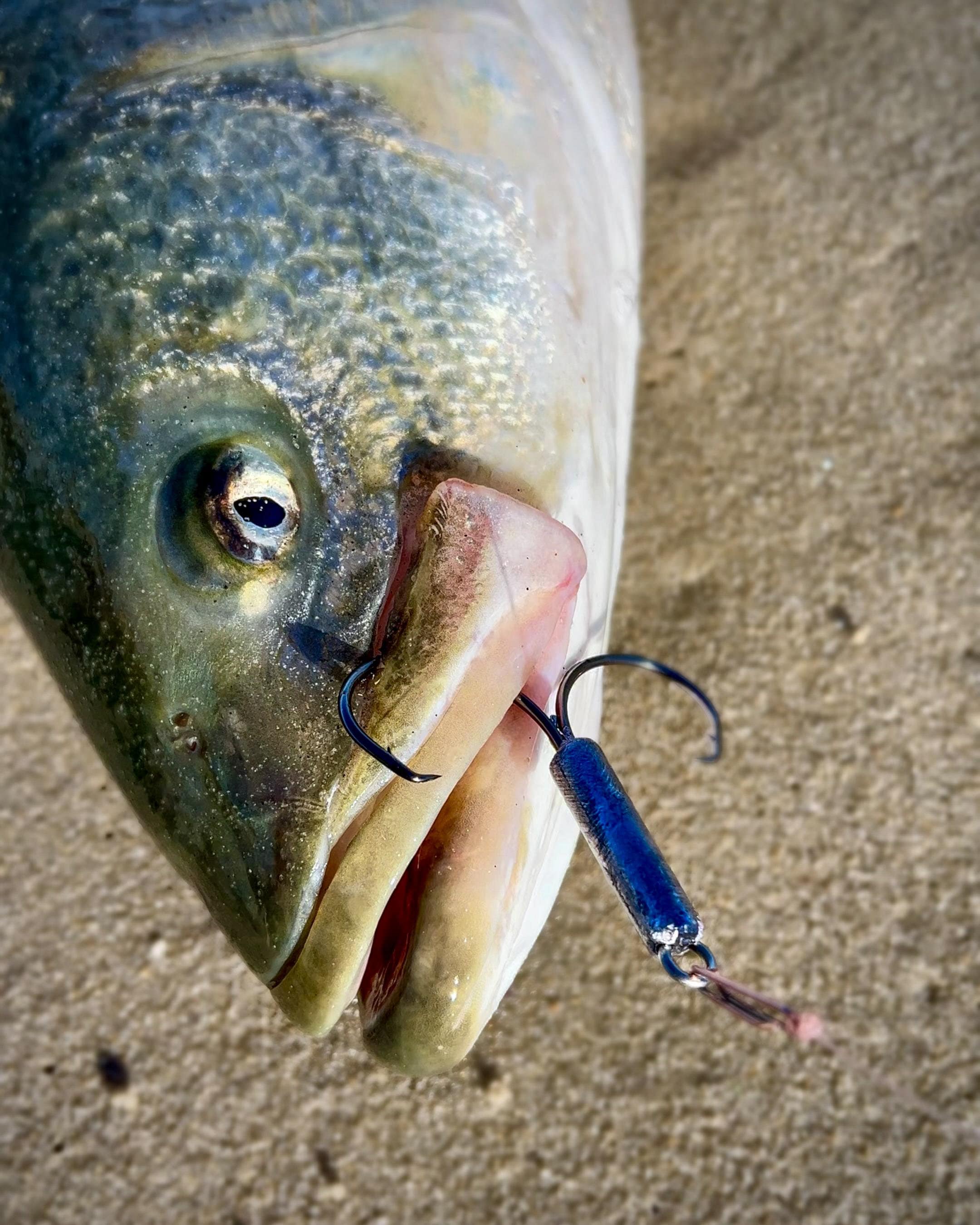 circle hook fishing massachusetts Frenzy Tackle Ultimate Hook, Blue, 9/0, 6 Pk. J&M Tackle Circle Hooks Today - In-Fisherman