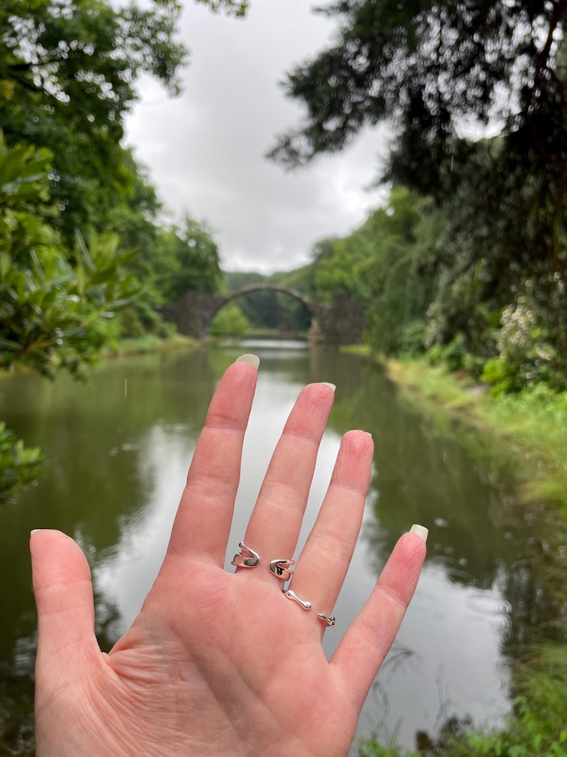 Pu&ograve; includere: Una mano che mostra tre anelli d'argento con design unici. Lo sfondo presenta una vista panoramica di un ponte sull'acqua, circondato da una vegetazione lussureggiante sotto un cielo nuvoloso.