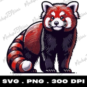 Panda rojo SVG, gráfico de panda rojo, imágenes prediseñadas de panda rojo PNG, imágenes prediseñadas de panda rojo, vector de panda rojo, gráficos vectoriales de animales, descarga instantánea