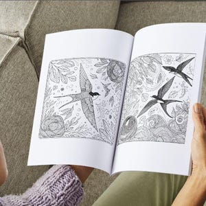 Mindfulness Bird Malbuch: 50 Seiten, entspannende Kunst (PDF & PNG)