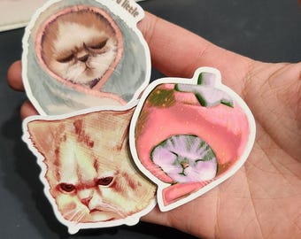 Strawberry Cat, Angry and Tired Cat Sticker (single)