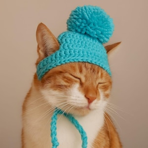 Crochet Cat - Doge Hat Pattern   (PDF) Easy DIY - Beginner Friendly Instant Download