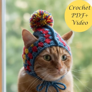 Könnte beinhalten: Eine orangefarbene Tabby-Katze trägt eine gehäkelte Mütze in Blau, Rot und Gelb mit einem Bommel. Die Mütze hat eine blaue Krawatte unter dem Kinn. Text in einem gelben Kreis lautet "Crochet PDF + Video".