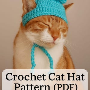 Könnte beinhalten: Eine rot-weiße Katze trägt einen türkisfarbenen Häkelhut mit passendem Bommel und Bindebändern. Die Katze hat die Augen geschlossen. Der Text auf dem Bild lautet "Crochet Cat Hat Pattern (PDF)".