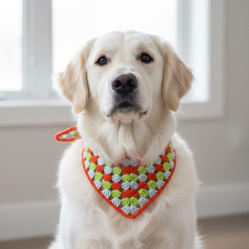 Puede incluir: Un Golden Retriever con un pa&ntilde;uelo de ganchillo colorido. El pa&ntilde;uelo presenta un dise&ntilde;o de cuadrados de la abuela con cuadrados naranjas, verdes y azules, delineados en naranja. El perro tiene un pelaje claro y mira directamente a la c&aacute;mara.