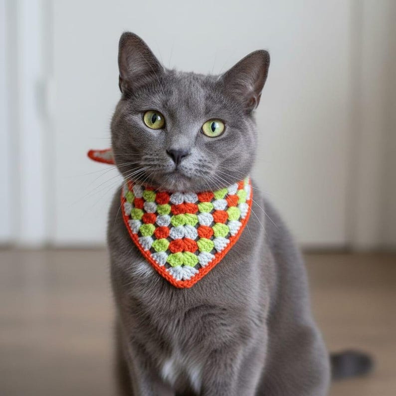 Puede incluir: Un gato gris con un colorido pa&ntilde;uelo de ganchillo. El pa&ntilde;uelo presenta un dise&ntilde;o de granny square con cuadrados naranjas, blancos y verdes, delineados en naranja. El gato tiene ojos verdes y mira a la c&aacute;mara.