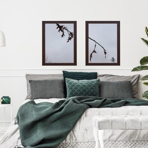 May include: Two rectangular wall frames with dark brown borders, each containing a photograph of a bare tree branch against a pale, overcast sky. The frames are positioned side-by-side, displaying nature-themed imagery in a simple format.