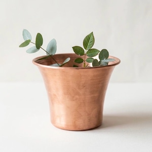 May include: A polished copper planter with a flared rim and a smooth, metallic finish. The vessel contains a small sprig of green eucalyptus leaves and a separate stem with several small, pointed green leaves extending from the opening.