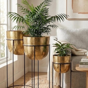 Könnte beinhalten: Drei goldfarbene Metallpflanzgefäße mit gehämmerten Strukturen, die jeweils eine grüne Pflanze enthalten. Die Pflanzgefäße werden von schwarzen Metallständern unterschiedlicher Höhe getragen, wodurch eine gestaffelte Präsentation entsteht. Die Szene spielt sich drinnen in der Nähe eines Fensters ab.