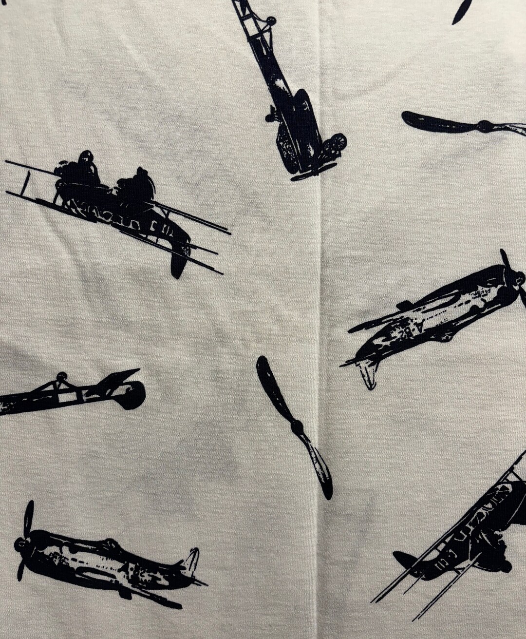 Who Dares to Fly Vintage Aircraft of the 20s and 30s Wright Brothers ...