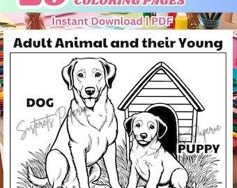 Puede incluir: Página para colorear en blanco y negro de un perro y un cachorro. El perro está sentado junto a una caseta para perros y el cachorro está sentado frente a la caseta. El texto "DOG" está encima del perro y el texto "PUPPY" está debajo del cachorro.