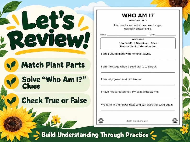 Plant Life Cycle for Kids | Science Worksheets, Parts of a Plant ...