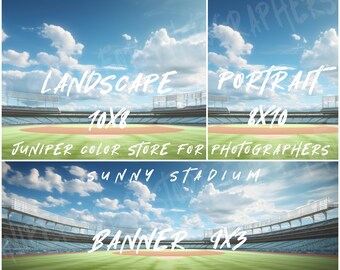 Baseball/Softball Sports Photography Background- Sunny Stadium 003