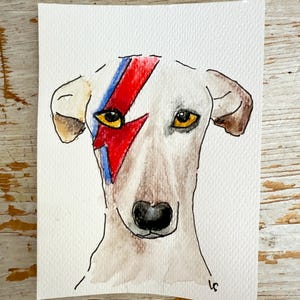 cartes rigolote en aquarelle, fait-main