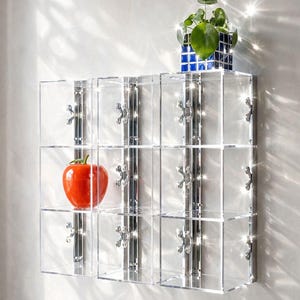 Puede incluir: Estantería de pared de acrílico transparente con nueve cubículos. Una manzana roja brillante se encuentra en un cubículo. Una pequeña planta en maceta en una maceta de azulejos azules y blancos se encuentra en la parte superior. La unidad tiene herrajes cromados.