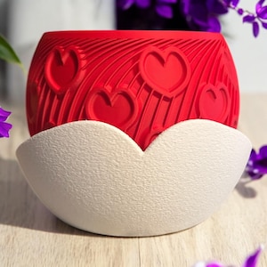 Heart Planter: Perfect Valentine's Day Gift for Plant Lovers - A Romantic Touch for Your Home and Office