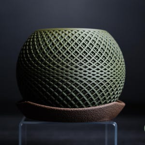Paragon Planter – Stylish Functional Art for Houseplants