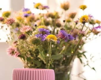 Tundra Planter | Ideal for Succulents | Add a Touch of Nature and Elegance to Your Home with This Unique Planter