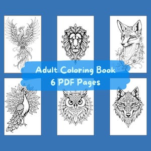 Coloring Book for Adults - Fun Digital Printable Pages, Stress Relief Art, Creative Activity & Relaxation