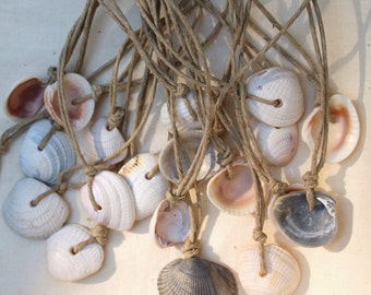 Simple Shell on Hemp Necklace - Mystery box