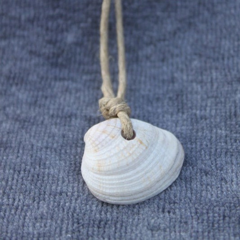 Simple Shell on Hemp Necklace Mystery Box - Etsy