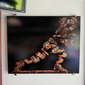 Stiff ARM - Aluminum Print