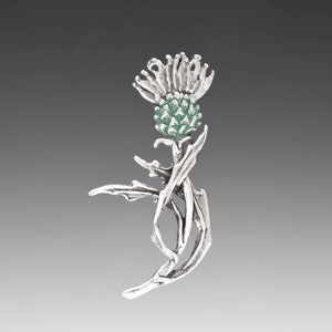 Thistle Pin, Desert Powderpuff, Thistle Necklace, Sterling, Desert Jewelry, Southwest Jewelry, Botanical, Symbolism, FREE POSTAGE image 1