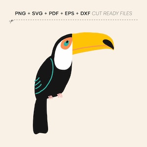 Cute Toucan SVG, Toucan Clipart, Funny Animal Prints, Cricut Projects
