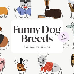 Funny Dogs Svg, Dog Breed Bundle, Dog Prints, Cricut Projects