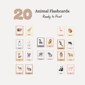 Animal Flashcards - Educational - Montessori