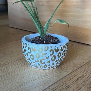 Könnte beinhalten: Kleiner, weißer Keramik-Blumentopf mit goldenem Leopardenmuster. Er enthält eine kleine grüne Pflanze mit langen Blättern. Der Topf steht auf einer Holzoberfläche.