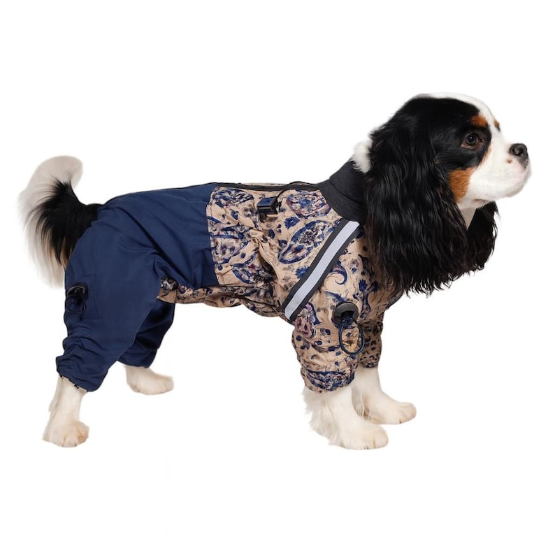 Puede incluir: Un perro con un mono para perros azul marino y estampado. La secci&oacute;n estampada presenta un fondo beige con dise&ntilde;os florales azules y marrones. El mono tiene una franja reflectante y un cuello negro.