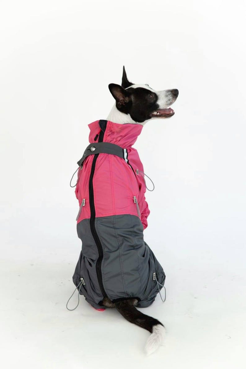 Puede incluir: Una taza de cer&aacute;mica blanca con un asa negra y el texto "But First, Coffee" en negrita negra. La taza est&aacute; sobre una superficie blanca. La taza mide 10 cm de alto.