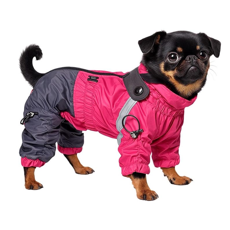 Mono Sirko Rain para perra, chaqueta impermeable, impermeable, ropa para perros pequeños, medianos y grandes imagen 5