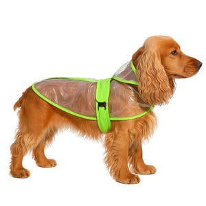 May include: A golden Cocker Spaniel wearing a clear dog raincoat with neon green trim and straps. The raincoat covers the dog's back and chest, with a buckle closure. The dog is standing on a white background.