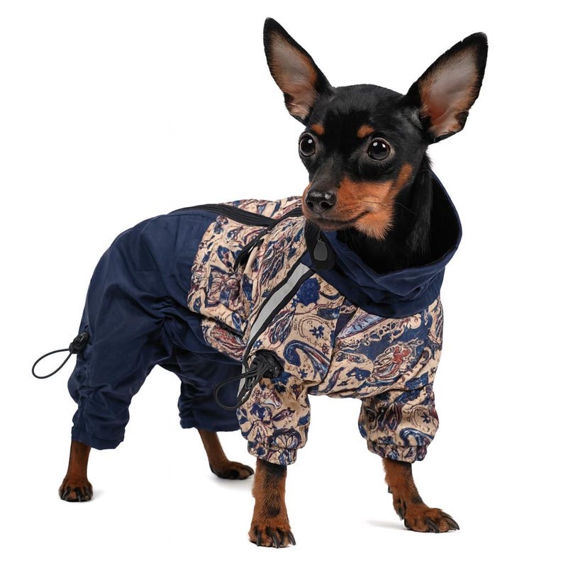 Mono Sirko Rain para perra, chaqueta impermeable, impermeable, ropa para perros pequeños, medianos y grandes imagen 11
