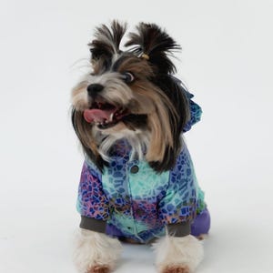 Sirko Mini Snow Male Jumpsuit, Dog Raincoat, Dog Rain Overall, Dog Jacket for Small Medium Dogs