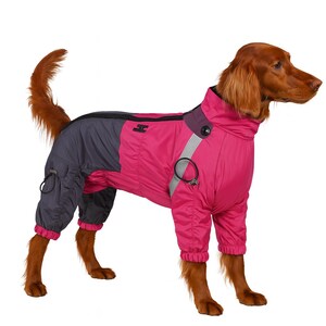 Puede incluir: Un mono para perros magenta y gris con cuello alto y rayas reflectantes. El mono cubre las patas del perro y tiene cierre de cremallera. Hay un peque&ntilde;o bolsillo lateral. El perro tiene pelo casta&ntilde;o rojizo. Medidas en cent&iacute;metros.