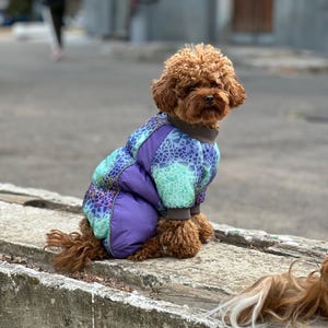 Sirko Mini Snow Zip Jacket for Female dogs, Dog Jumpsuit, Dog Overall, Dog Suit for Small Medium Dogs