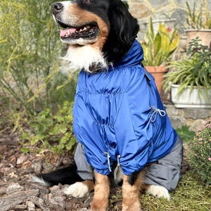 Sirko Rain New Overall for Male Dog, Dog Rain Jacket, Dog Raincoat, Dog Clothes for Small Medium Large Dogs