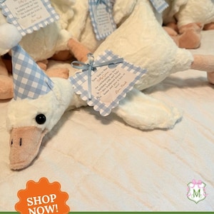 Silly Goose Party Favors: Custom Tag & Party Hat