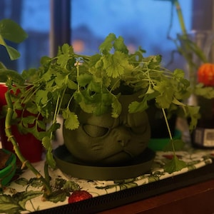 May include: A green ceramic cat-shaped plant pot filled with coriander. The pot sits on a matching saucer. Other plants in red and black pots are visible in the background, along with a small orange fruit.